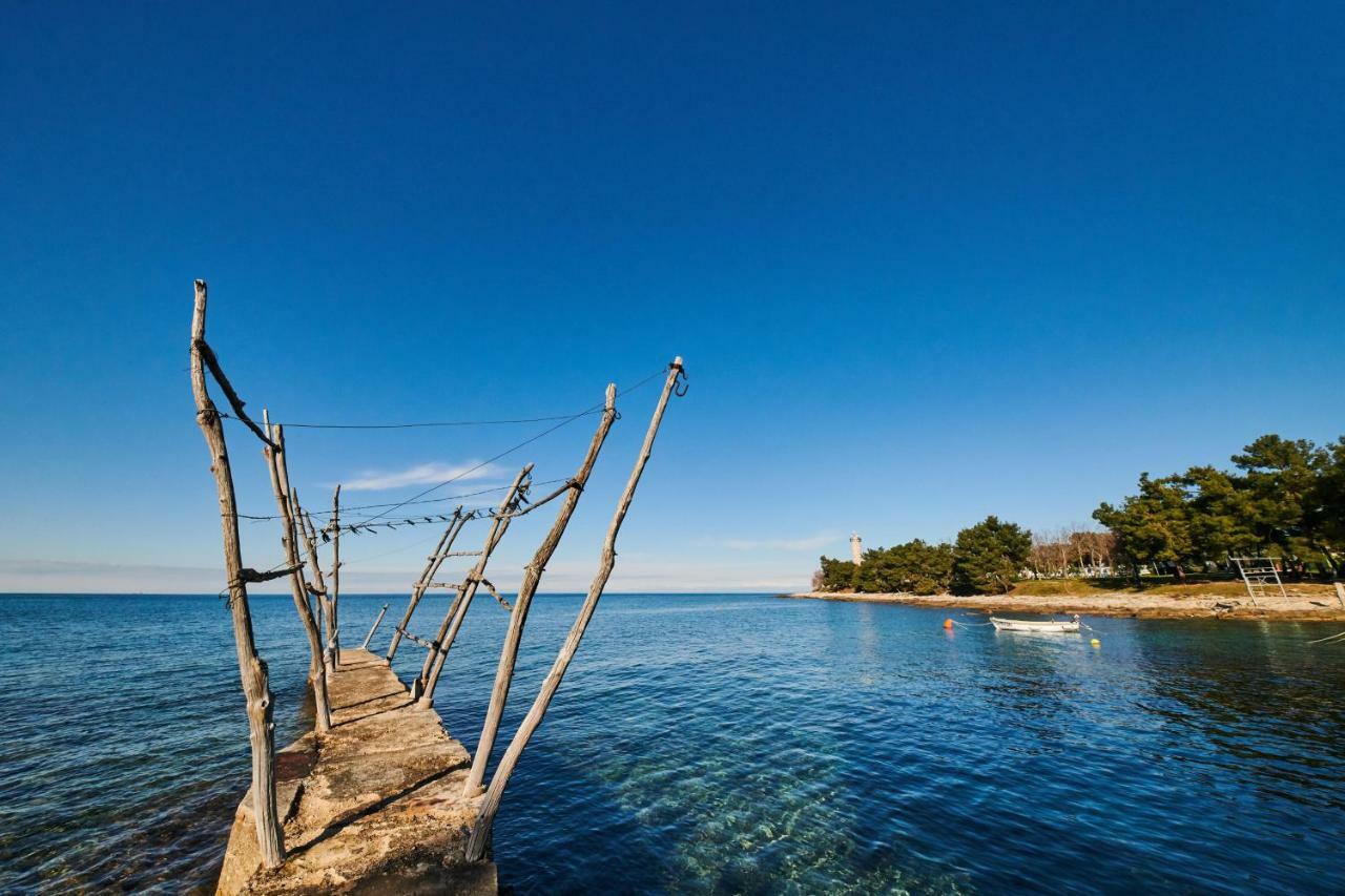 Morning Light Umag
